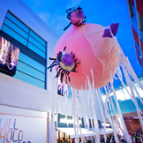 highcross launch